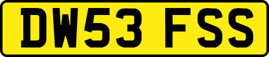 DW53FSS