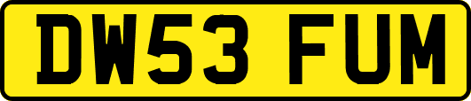 DW53FUM