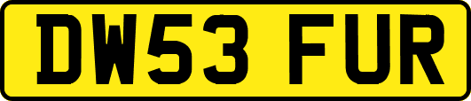 DW53FUR