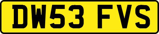 DW53FVS