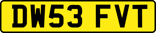 DW53FVT