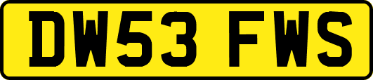 DW53FWS