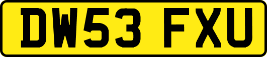 DW53FXU