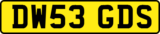 DW53GDS