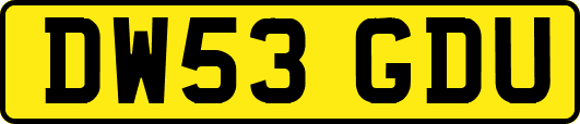 DW53GDU
