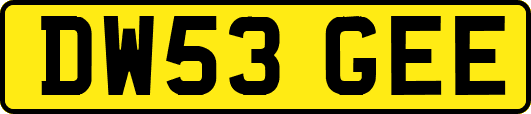 DW53GEE