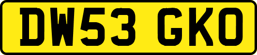 DW53GKO