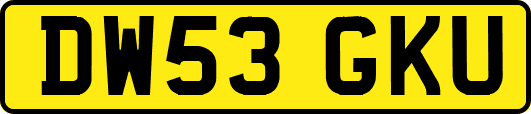 DW53GKU