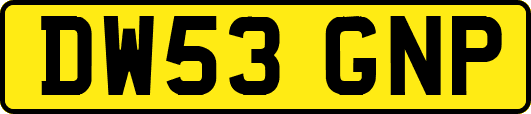 DW53GNP