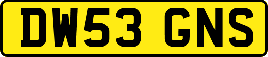 DW53GNS