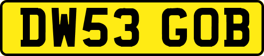 DW53GOB