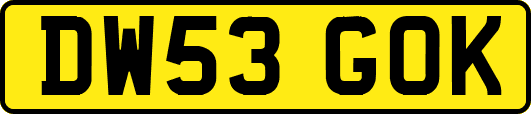DW53GOK