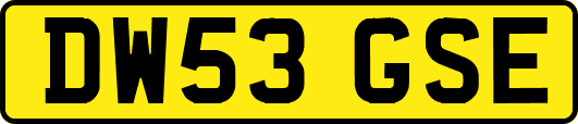 DW53GSE
