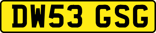 DW53GSG