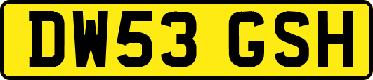 DW53GSH