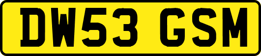 DW53GSM