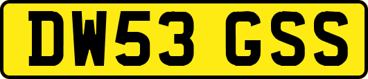 DW53GSS