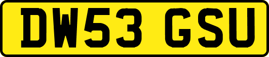 DW53GSU