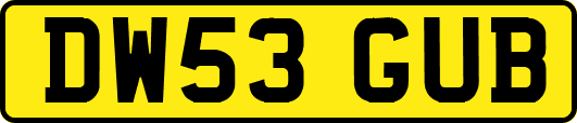DW53GUB