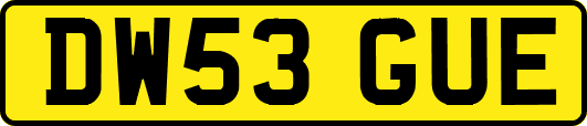 DW53GUE