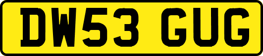 DW53GUG