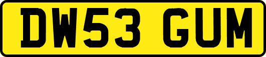 DW53GUM