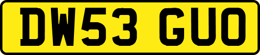 DW53GUO