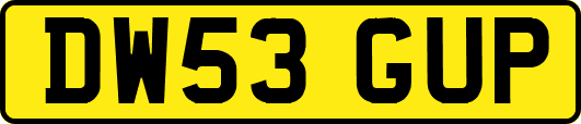 DW53GUP