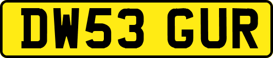 DW53GUR