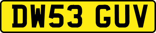 DW53GUV