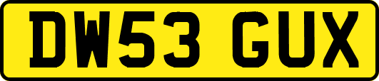 DW53GUX