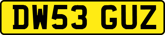 DW53GUZ