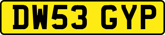 DW53GYP