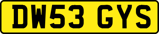 DW53GYS
