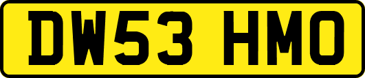 DW53HMO