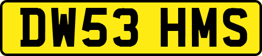 DW53HMS