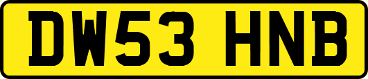 DW53HNB