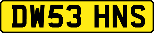 DW53HNS