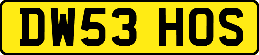 DW53HOS