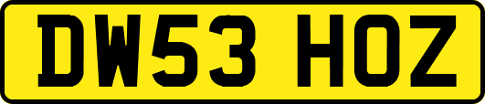 DW53HOZ