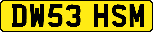 DW53HSM