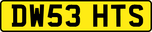 DW53HTS
