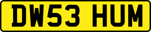 DW53HUM