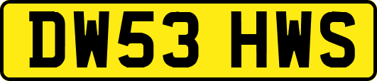 DW53HWS