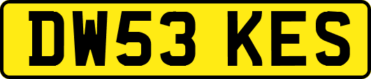 DW53KES