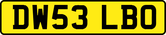 DW53LBO
