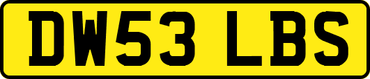 DW53LBS