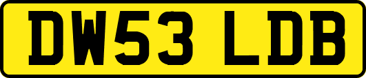 DW53LDB