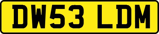 DW53LDM