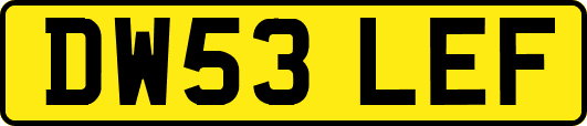 DW53LEF